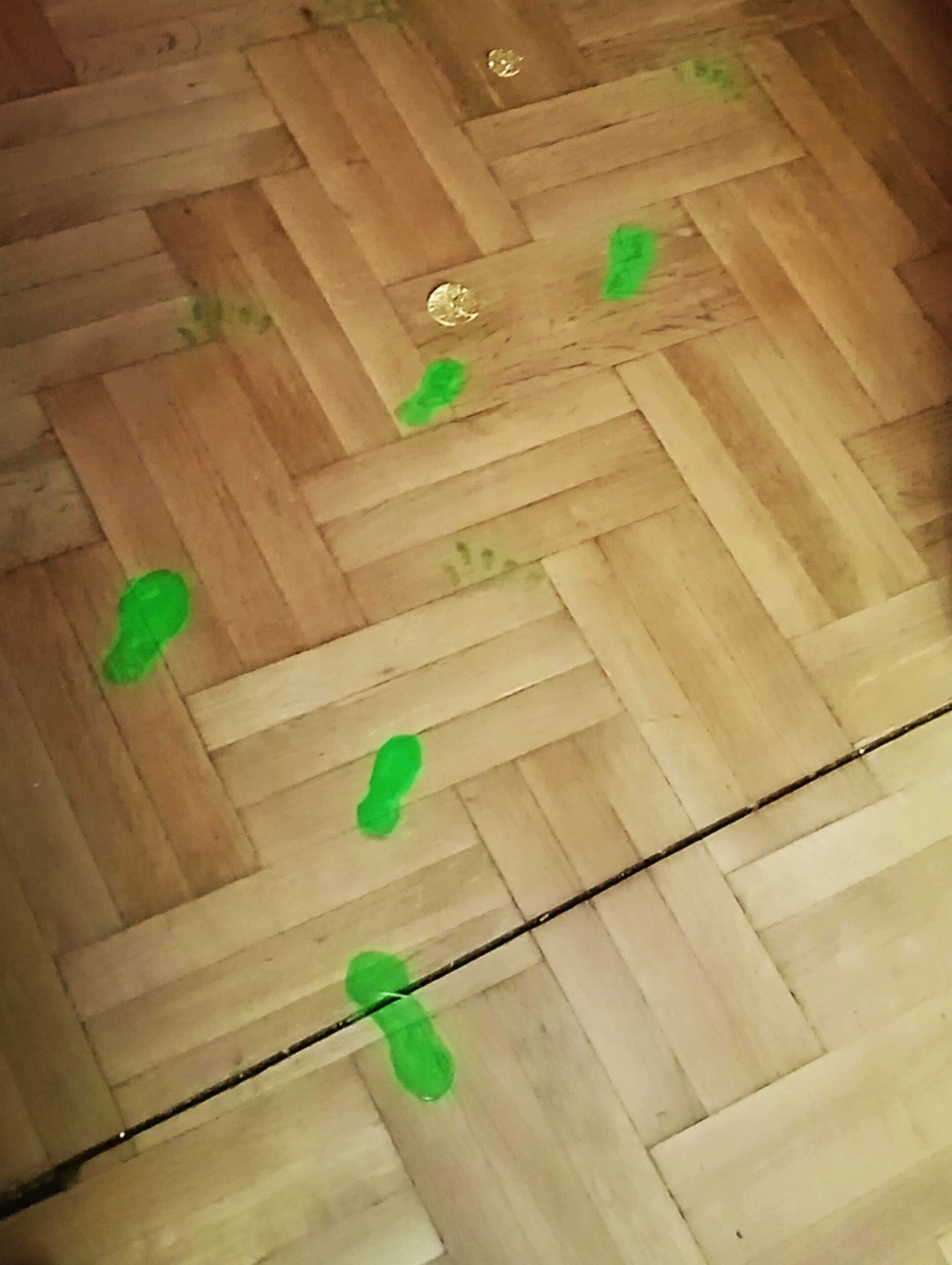 ST_PATRICK_S_DAY (9)